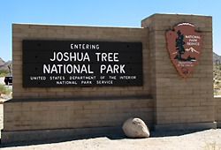 Joshua Tree N.P.